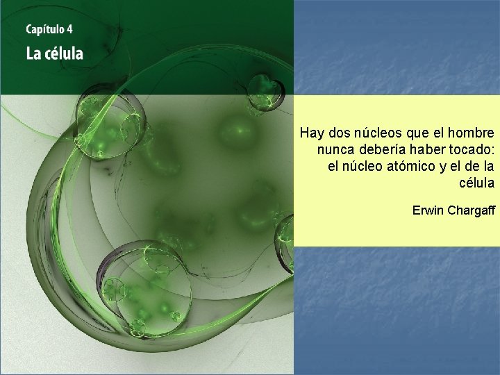 Hay dos núcleos que el hombre nunca debería haber tocado: el núcleo atómico y Hay dos núcleos que el hombre nunca debería haber tocado: el núcleo atómico y