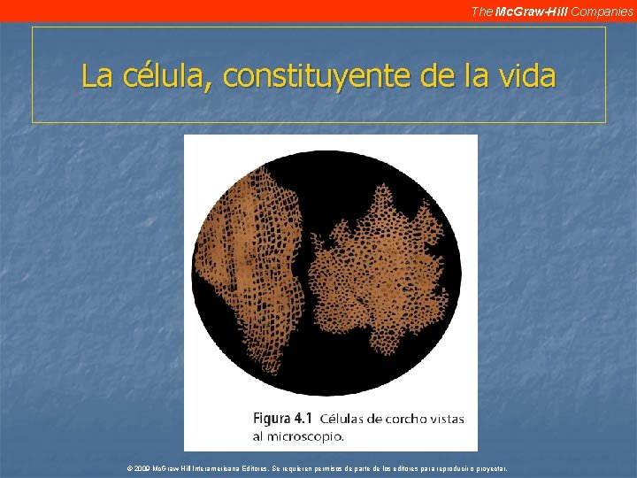 The Mc. Graw-Hill Companies La célula, constituyente de la vida © 2009 Mc. Graw-Hill The Mc. Graw-Hill Companies La célula, constituyente de la vida © 2009 Mc. Graw-Hill