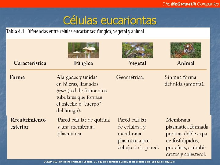 The Mc. Graw-Hill Companies Células eucariontas © 2009 Mc. Graw-Hill Interamericana Editores. Se requieren The Mc. Graw-Hill Companies Células eucariontas © 2009 Mc. Graw-Hill Interamericana Editores. Se requieren