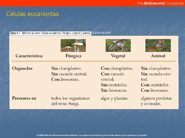 The Mc. Graw-Hill Companies Células eucariontas (continuación) © 2009 Mc. Graw-Hill Interamericana Editores. Se The Mc. Graw-Hill Companies Células eucariontas (continuación) © 2009 Mc. Graw-Hill Interamericana Editores. Se