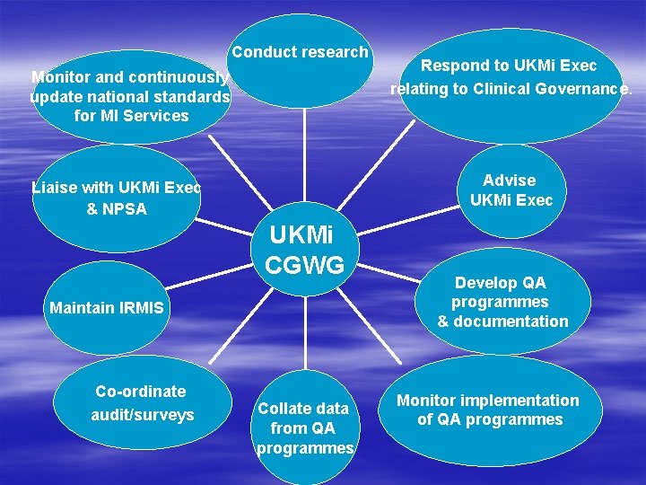 Conduct research Monitor and continuously update national standards for MI Services Advise UKMi Exec