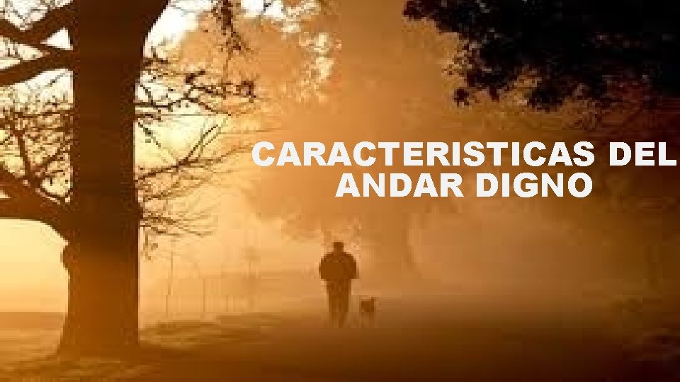 CARACTERISTICAS DEL ANDAR DIGNO 