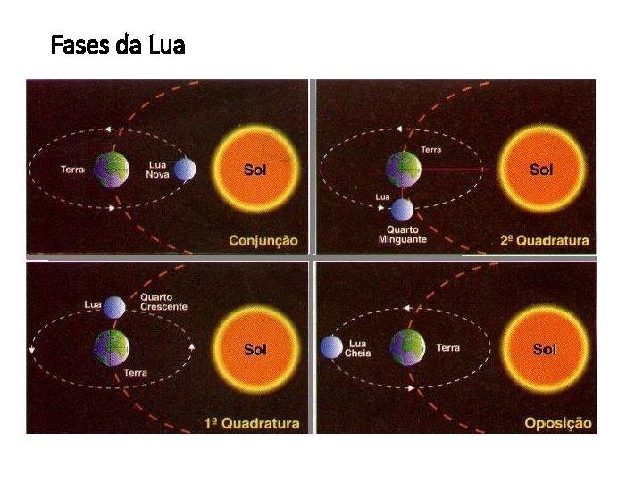 Fases da Lua 