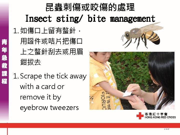 昆蟲刺傷或咬傷的處理 Insect sting/ bite management 1. 如傷口上留有螫針, 用證件或咭片把傷口 上之螫針刮去或用眉 鉗拔去 1. Scrape the tick 昆蟲刺傷或咬傷的處理 Insect sting/ bite management 1. 如傷口上留有螫針, 用證件或咭片把傷口 上之螫針刮去或用眉 鉗拔去 1. Scrape the tick