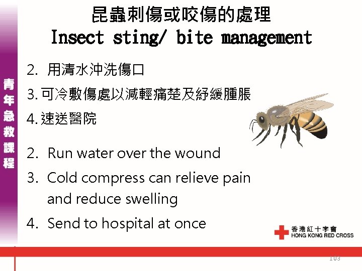 昆蟲刺傷或咬傷的處理 Insect sting/ bite management 2. 用清水沖洗傷口 3. 可冷敷傷處以減輕痛楚及紓緩腫脹 4. 速送醫院 2. Run water 昆蟲刺傷或咬傷的處理 Insect sting/ bite management 2. 用清水沖洗傷口 3. 可冷敷傷處以減輕痛楚及紓緩腫脹 4. 速送醫院 2. Run water