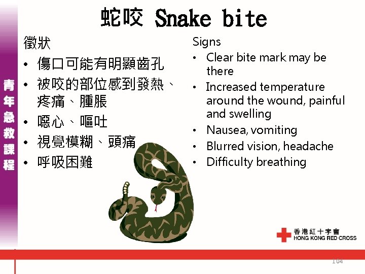 蛇咬 Snake bite 徵狀 • 傷口可能有明顯齒孔 • 被咬的部位感到發熱、 疼痛、腫脹 • 噁心、嘔吐 • 視覺模糊、頭痛 •