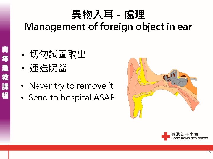 異物入耳 - 處理 Management of foreign object in ear • 切勿試圖取出 • 速送院醫 •