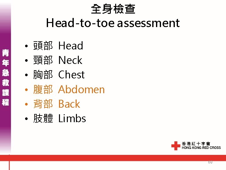 全身檢查 Head-to-toe assessment • • • 頭部 頸部 胸部 腹部 背部 肢體 Head Neck