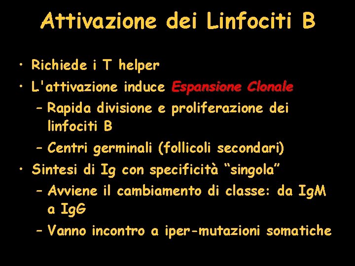 Attivazione dei Linfociti B • Richiede i T helper • L'attivazione induce Espansione Clonale