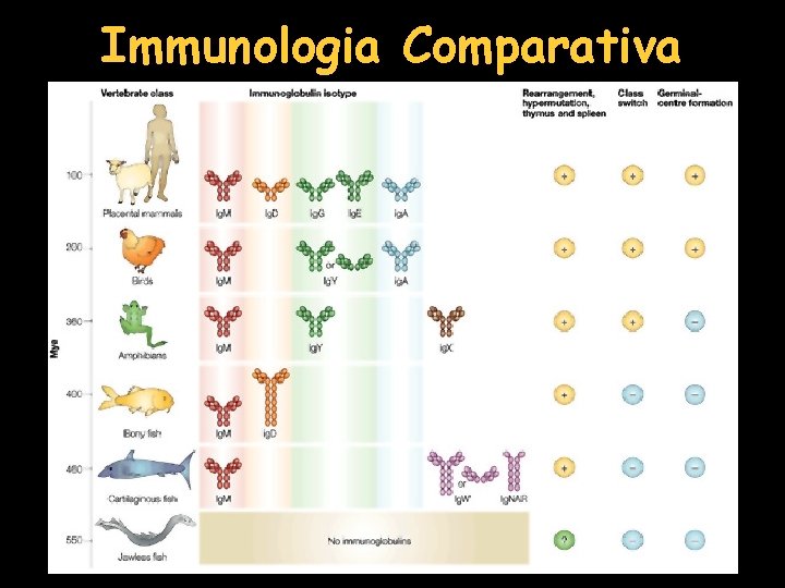 Immunologia Comparativa 