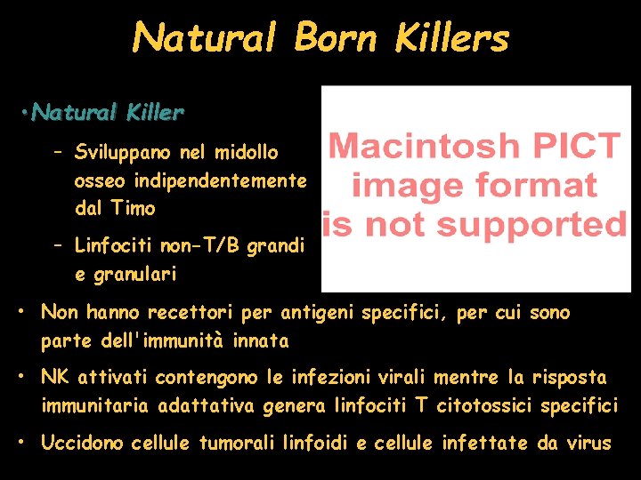 Natural Born Killers • Natural Killer – Sviluppano nel midollo osseo indipendentemente dal Timo