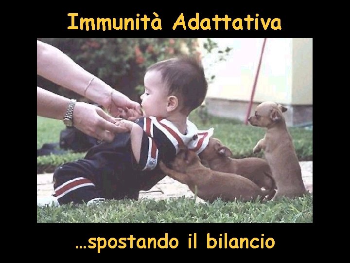 Immunità Adattativa …spostando il bilancio 