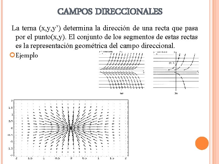 CAMPOS DIRECCIONALES La terna (x, y, y’) determina la dirección de una recta que CAMPOS DIRECCIONALES La terna (x, y, y’) determina la dirección de una recta que