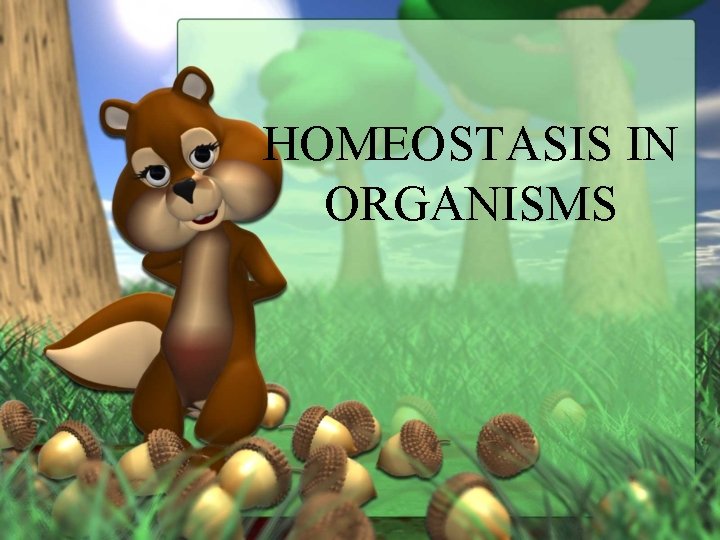 HOMEOSTASIS IN ORGANISMS 