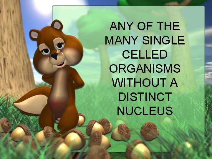 ANY OF THE MANY SINGLE CELLED ORGANISMS WITHOUT A DISTINCT NUCLEUS 