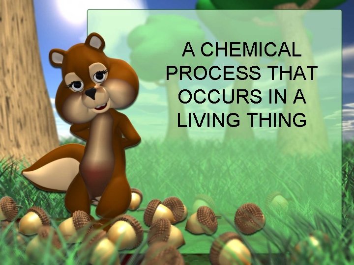 A CHEMICAL PROCESS THAT OCCURS IN A LIVING THING 