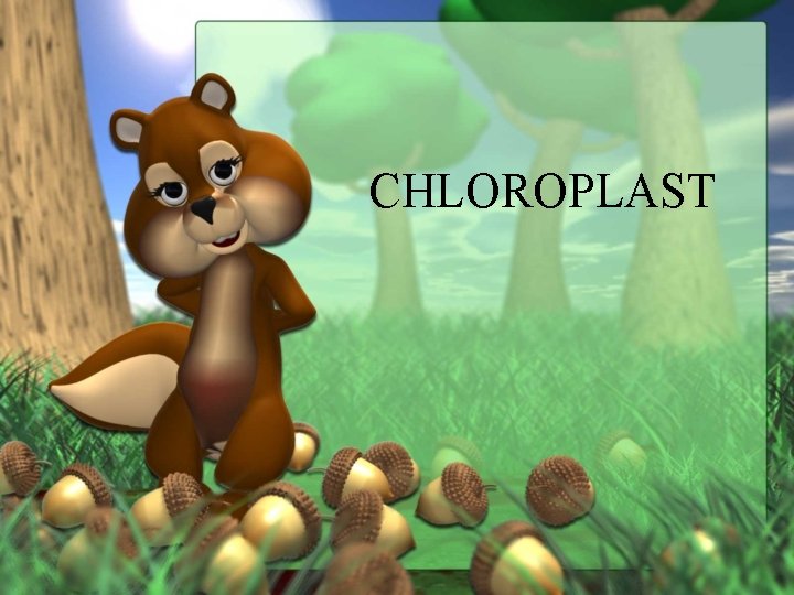 CHLOROPLAST 