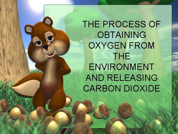 THE PROCESS OF OBTAINING OXYGEN FROM THE ENVIRONMENT AND RELEASING CARBON DIOXIDE 