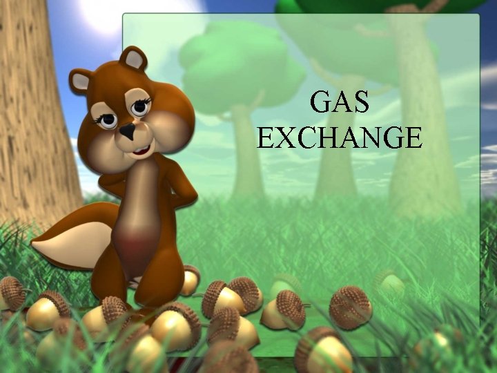 GAS EXCHANGE 