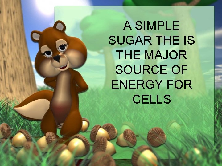 A SIMPLE SUGAR THE IS THE MAJOR SOURCE OF ENERGY FOR CELLS 