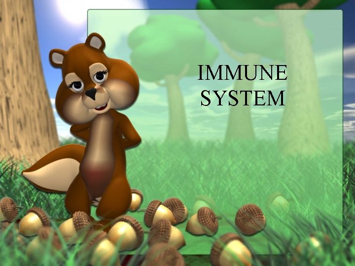 IMMUNE SYSTEM 