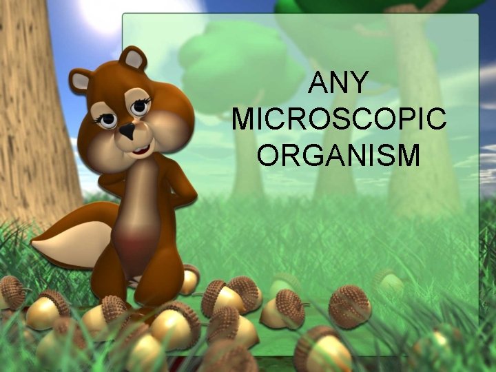 ANY MICROSCOPIC ORGANISM 
