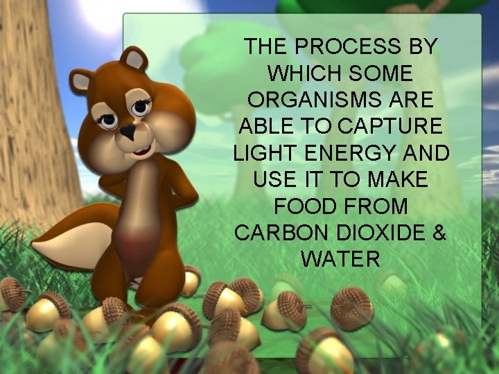 THE PROCESS BY WHICH SOME ORGANISMS ARE ABLE TO CAPTURE LIGHT ENERGY AND USE