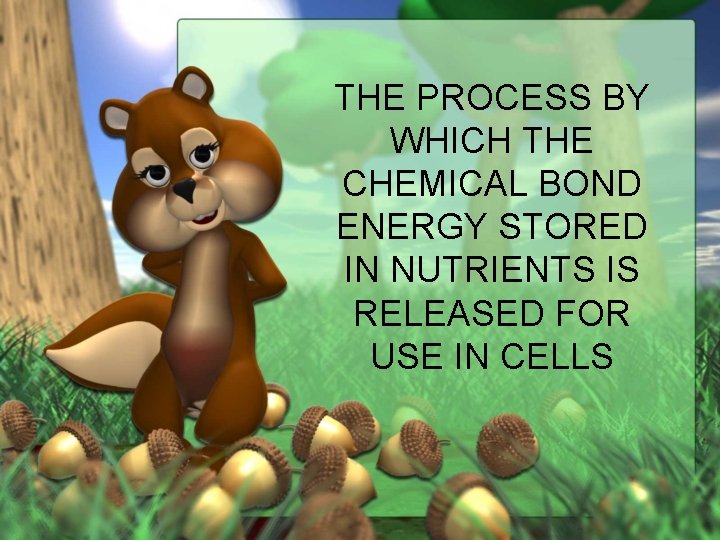 THE PROCESS BY WHICH THE CHEMICAL BOND ENERGY STORED IN NUTRIENTS IS RELEASED FOR