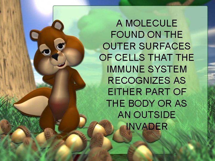 A MOLECULE FOUND ON THE OUTER SURFACES OF CELLS THAT THE IMMUNE SYSTEM RECOGNIZES