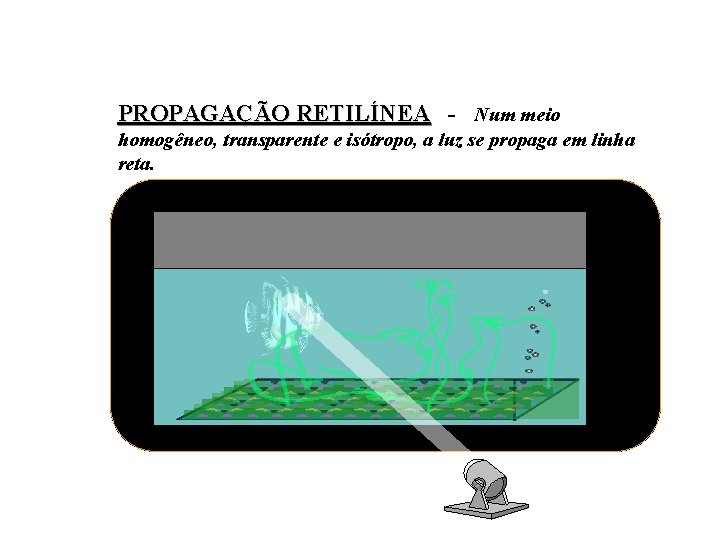 PROPAGAÇÃO RETILÍNEA - Num meio homogêneo, transparente e isótropo, a luz se propaga em