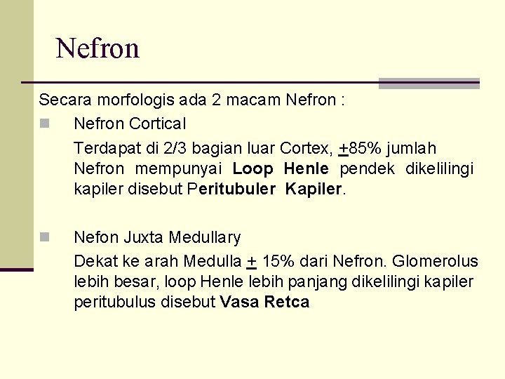 Nefron Secara morfologis ada 2 macam Nefron : n Nefron Cortical Terdapat di 2/3