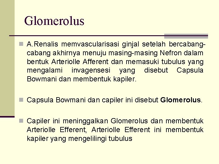 Glomerolus n A. Renalis memvascularisasi ginjal setelah bercabang- cabang akhirnya menuju masing-masing Nefron dalam