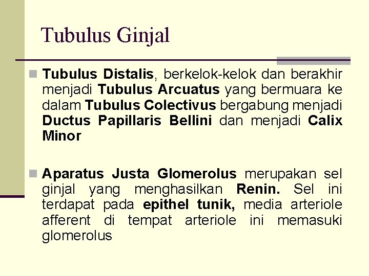 Tubulus Ginjal n Tubulus Distalis, berkelok-kelok dan berakhir menjadi Tubulus Arcuatus yang bermuara ke