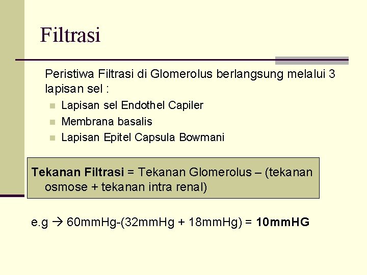 Filtrasi Peristiwa Filtrasi di Glomerolus berlangsung melalui 3 lapisan sel : n n n