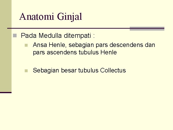 Anatomi Ginjal n Pada Medulla ditempati : n Ansa Henle, sebagian pars descendens dan