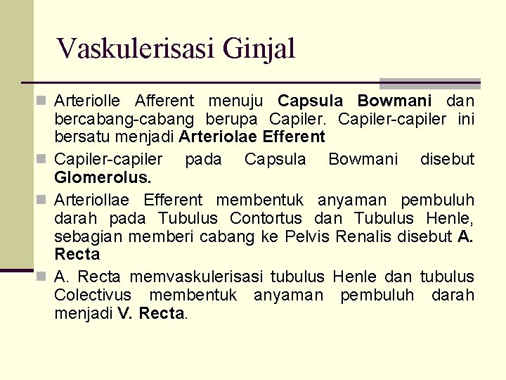 Vaskulerisasi Ginjal n Arteriolle Afferent menuju Capsula Bowmani dan bercabang-cabang berupa Capiler-capiler ini bersatu