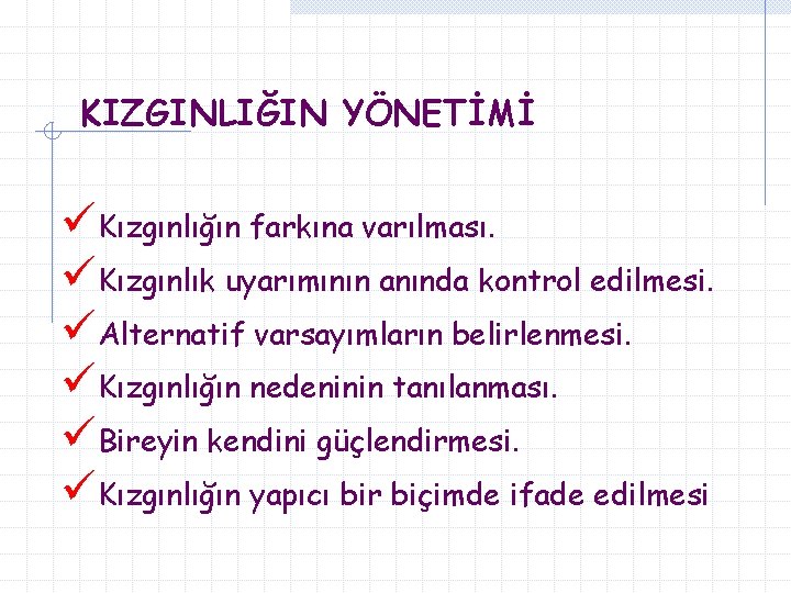 KIZGINLIĞIN YÖNETİMİ üKızgınlığın farkına varılması. üKızgınlık uyarımının anında kontrol edilmesi. üAlternatif varsayımların belirlenmesi. üKızgınlığın