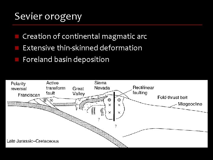 Sevier orogeny n n n Creation of continental magmatic arc Extensive thin-skinned deformation Foreland