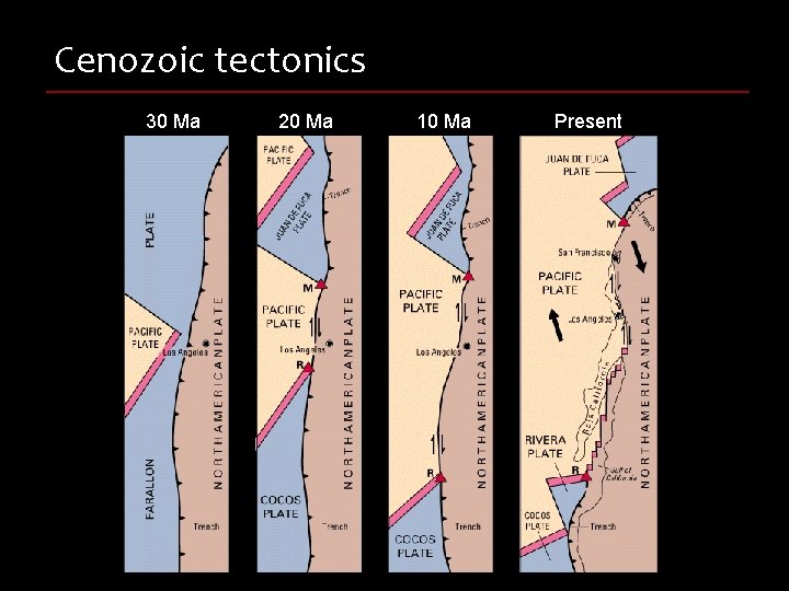 Cenozoic tectonics 30 Ma 20 Ma 10 Ma Present 