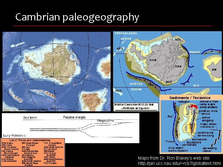 Cambrian paleogeography n Maps from Dr. Ron Blakey’s web site http: //jan. ucc. nau.