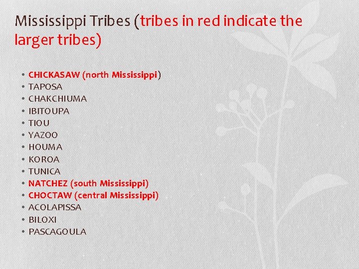 Mississippi Tribes (tribes in red indicate the larger tribes) • • • • CHICKASAW