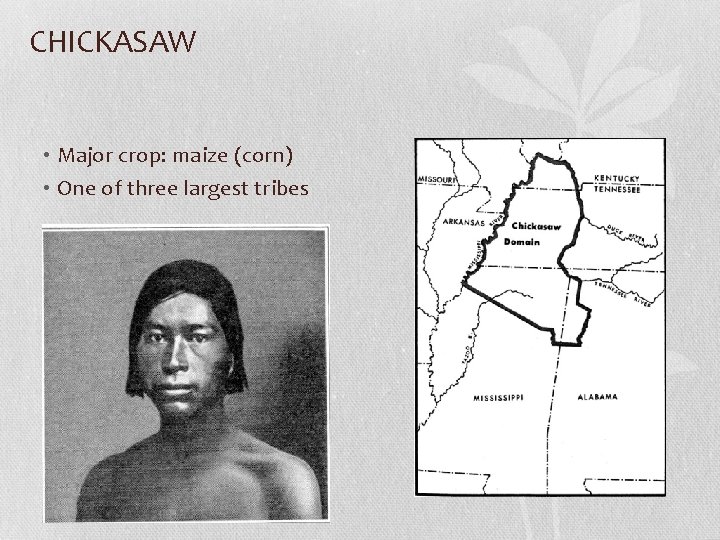 CHICKASAW • Major crop: maize (corn) • One of three largest tribes 