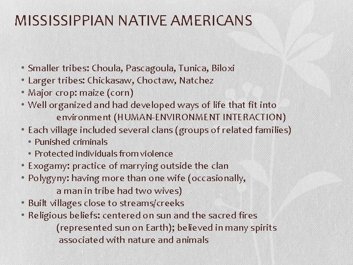 MISSISSIPPIAN NATIVE AMERICANS Smaller tribes: Choula, Pascagoula, Tunica, Biloxi Larger tribes: Chickasaw, Choctaw, Natchez