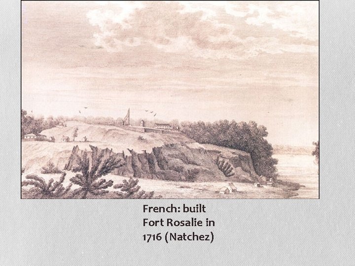 French: built Fort Rosalie in 1716 (Natchez) 