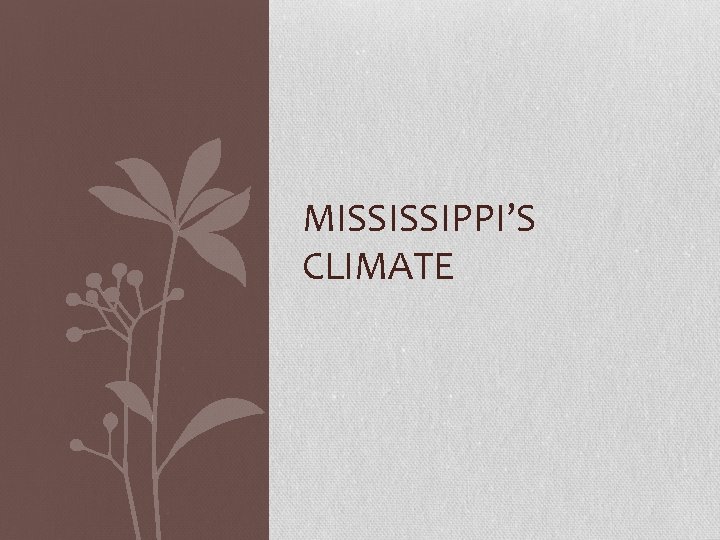 MISSISSIPPI’S CLIMATE 