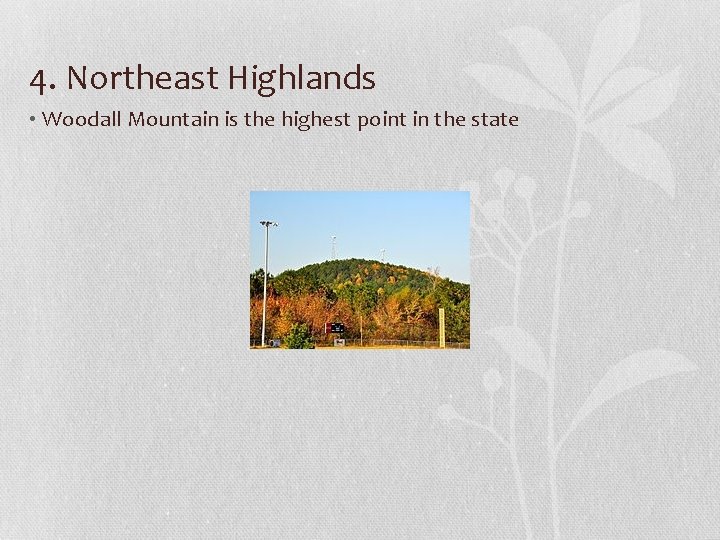 4. Northeast Highlands • Woodall Mountain is the highest point in the state 