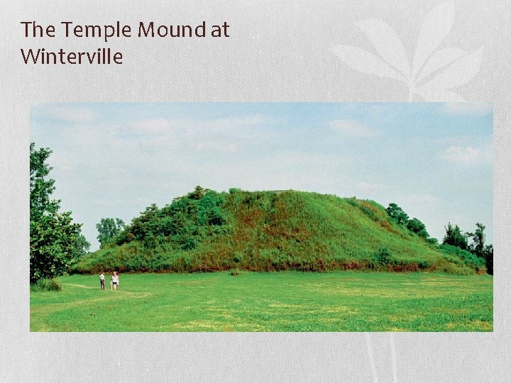 The Temple Mound at Winterville 