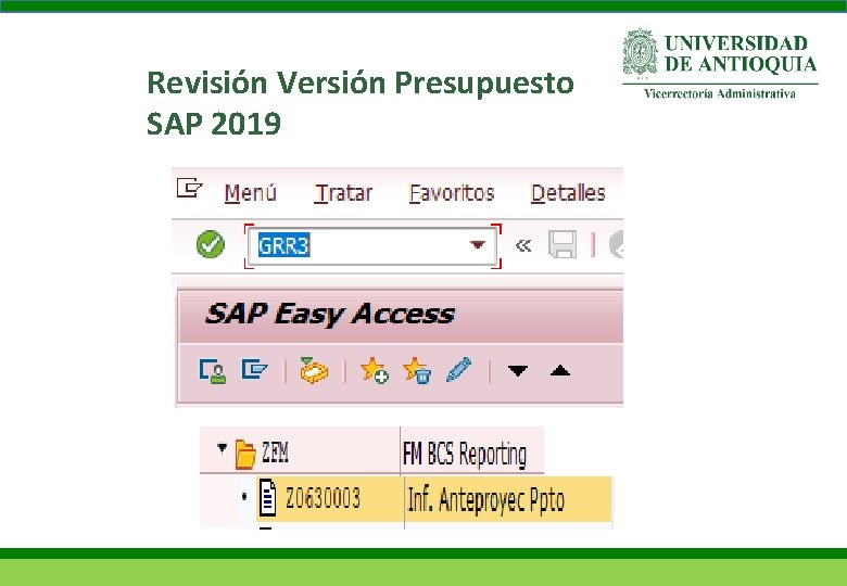 Revisión Versión Presupuesto SAP 2019 