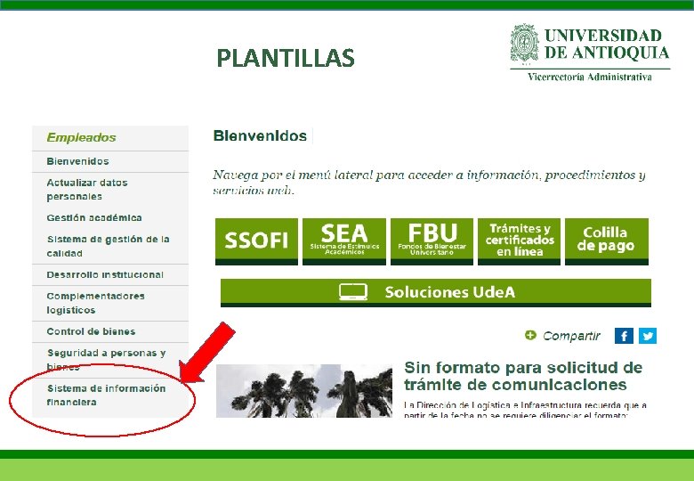 PLANTILLAS 