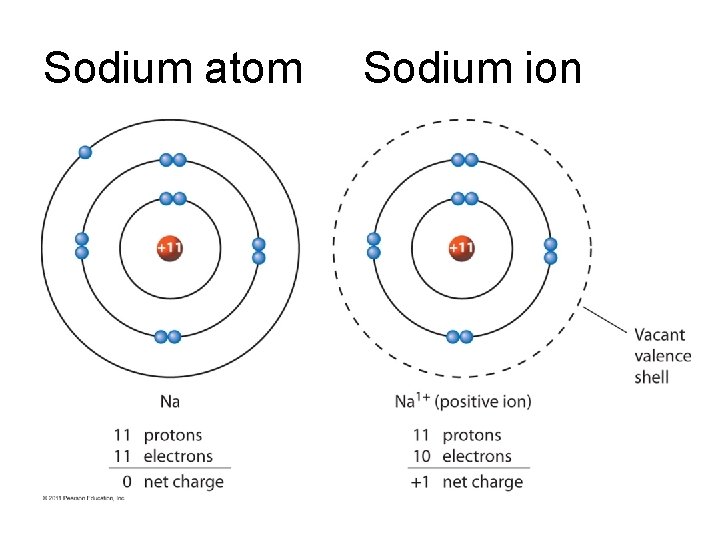 Sodium atom Sodium ion 